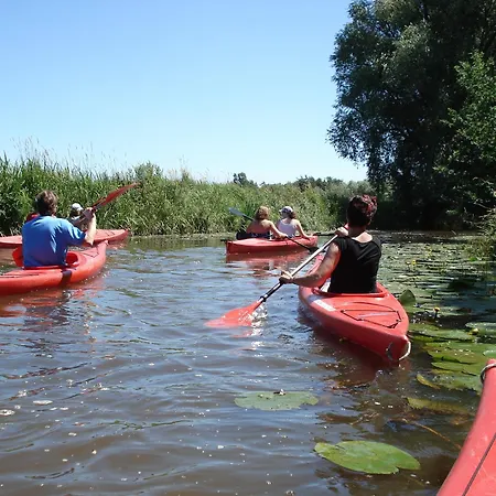 Albatros 190 De Zandloper