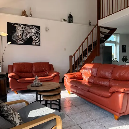 Albatros 190 De Zandloper