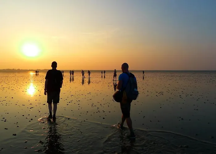 Albatros 190 Feriehus *