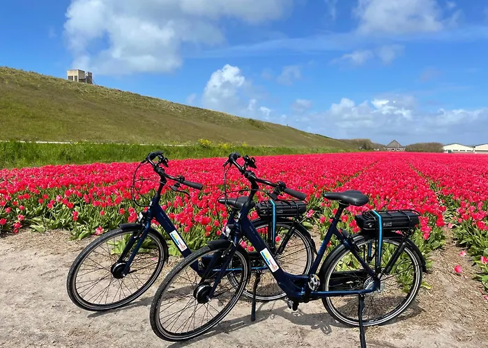 Feriehus Albatros 190 De Zandloper