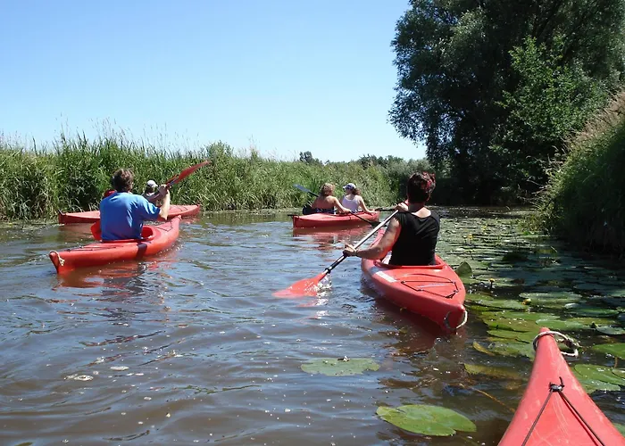 Semesterbostad Albatros 190