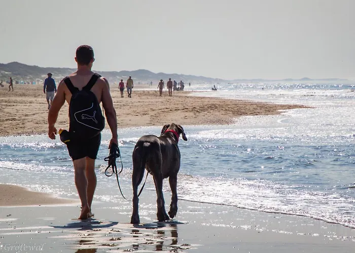 Semesterbostad Albatros 190 *